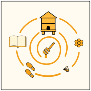 Pirmi žingsniai bitininkystėje